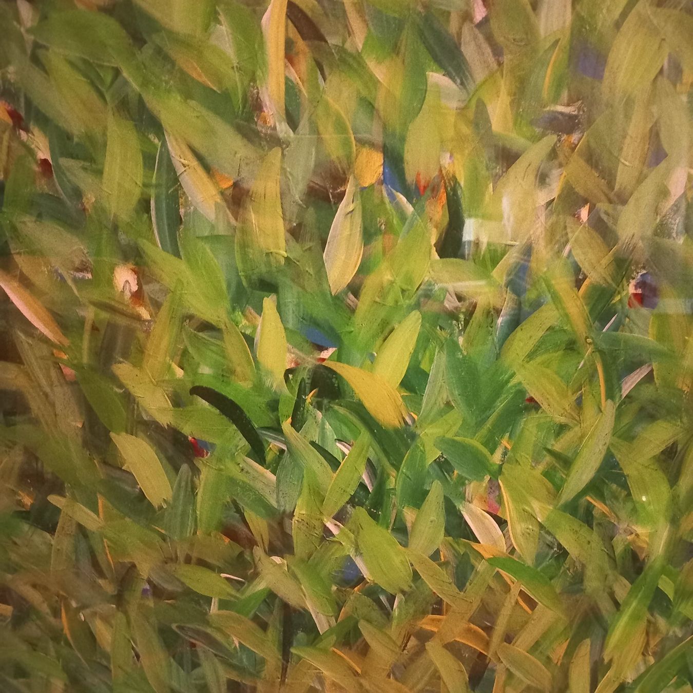 Dipinti: Bild Bruno Gasser 2003   63 x 54 cm – Usato da emmetten venduto da Ladys4 3