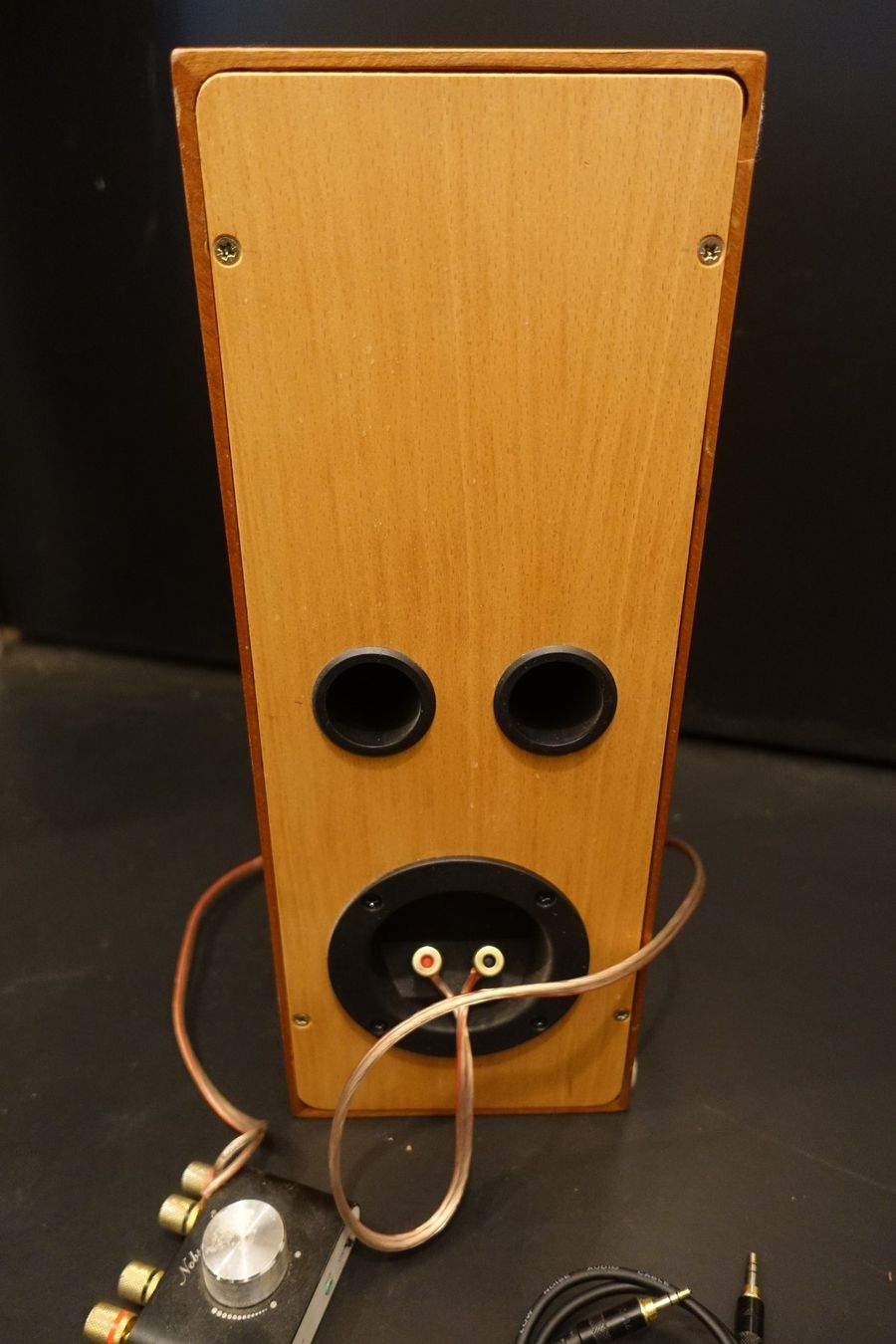 Casse acustiche: HiFi Mono Box – Usato da Bern venduto da Leer.gut 2