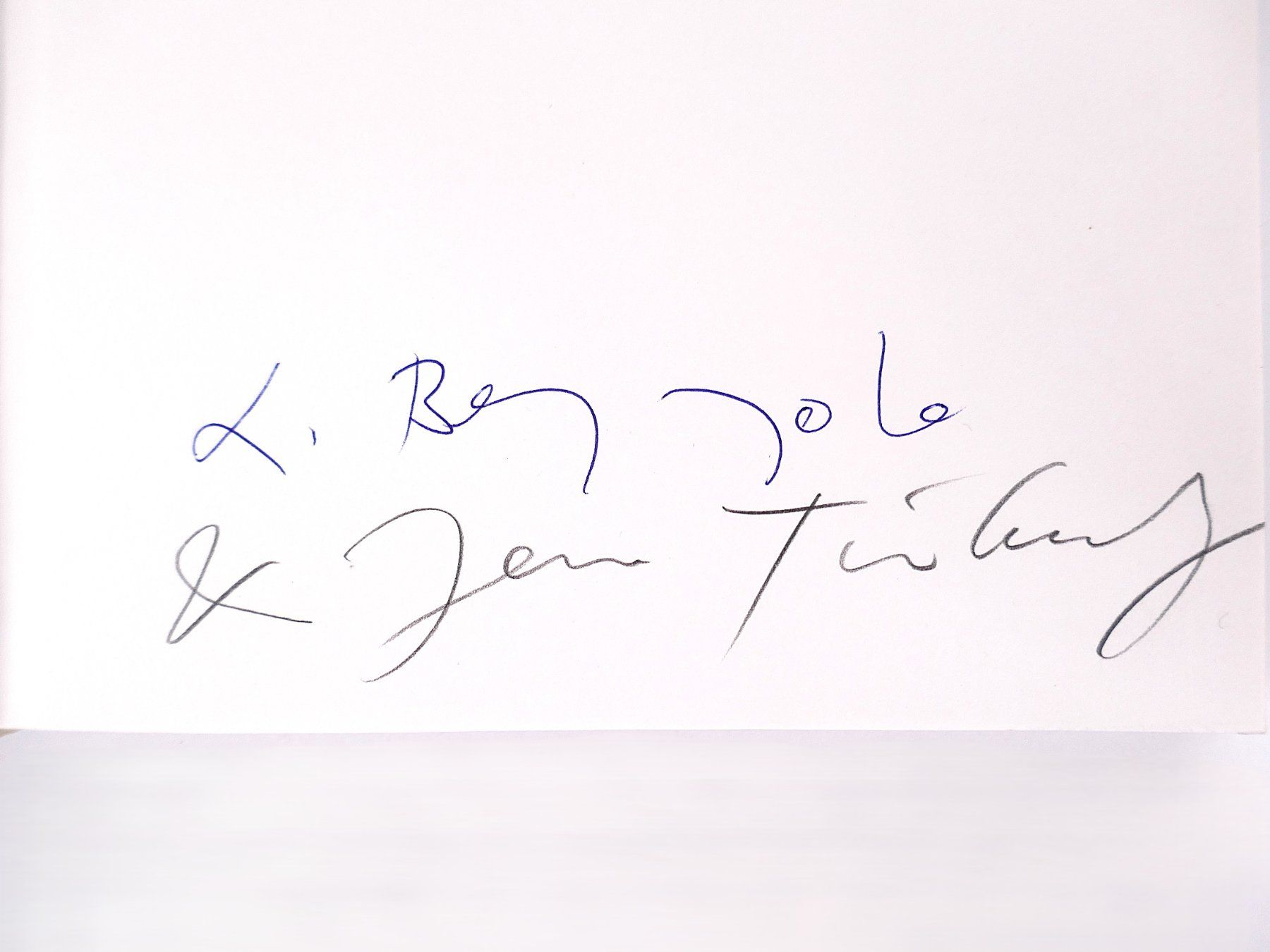 Livres: Buch Jean Tinguely – D'occasion à Urtenen-Schönbühl par Restwert_Schoenbuehl 3