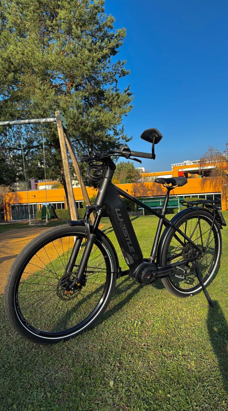 Biciclette: Vélo WHISTLE Highspeed P500 29 – Usato da Onex venduto da Flo.islm 2