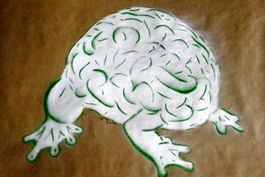 KAZOTO SHINTO (Japan, *1960) Künstlerhirn / Artist Brain