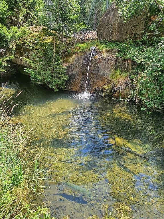 Giocattoli: Paysagiste/Jardinier  – Usato da Morges venduto da Rosaprates 3