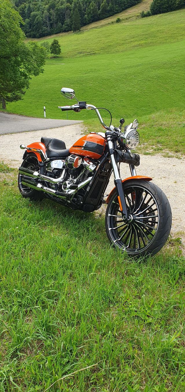 Harley-Davidson Chopper: Harley-Davidson Breakout 117 – Gebraucht aus Seewen SO von DealornoDeal 4