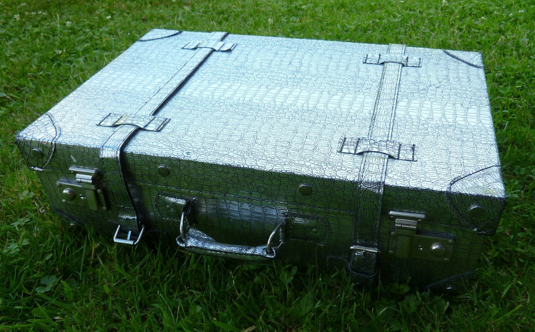 Valises de voyage: silbriger Koffer   speziell – D'occasion à Dättlikon par Mamakuga 6