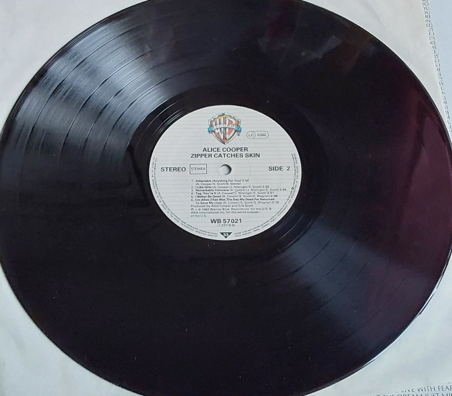 Dischi in vinile: Vinyl LP  - Alice Cooper  - Scandinavia  82 - NM – Nuovo (secondo la descrizione) da Villeret venduto da Fil11 3