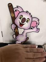 Geburtstafel Koala