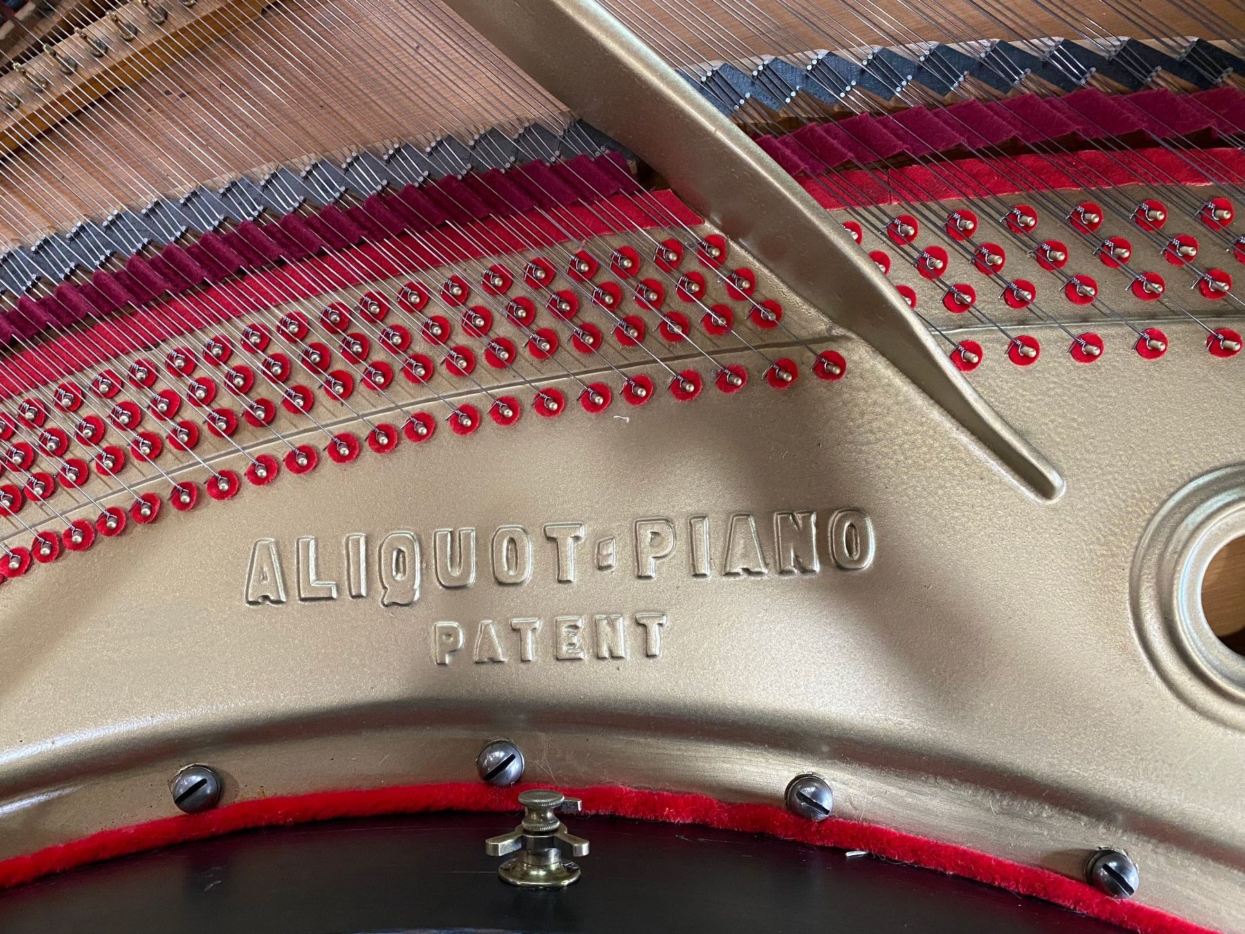 Blüthner Strumenti musicali: Blüthner Flügel mit Aliquot Patent – Usato da Ebnat-Kappel venduto da Lukas33 4