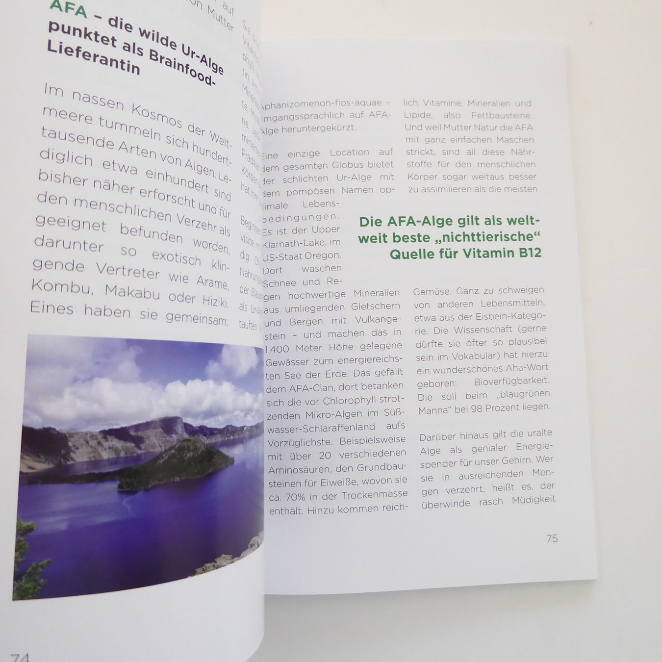 Libri: Chlorophyll - Das grüne Blut - Frank Jester – Usato da Basel venduto da Kunterbunt12 2