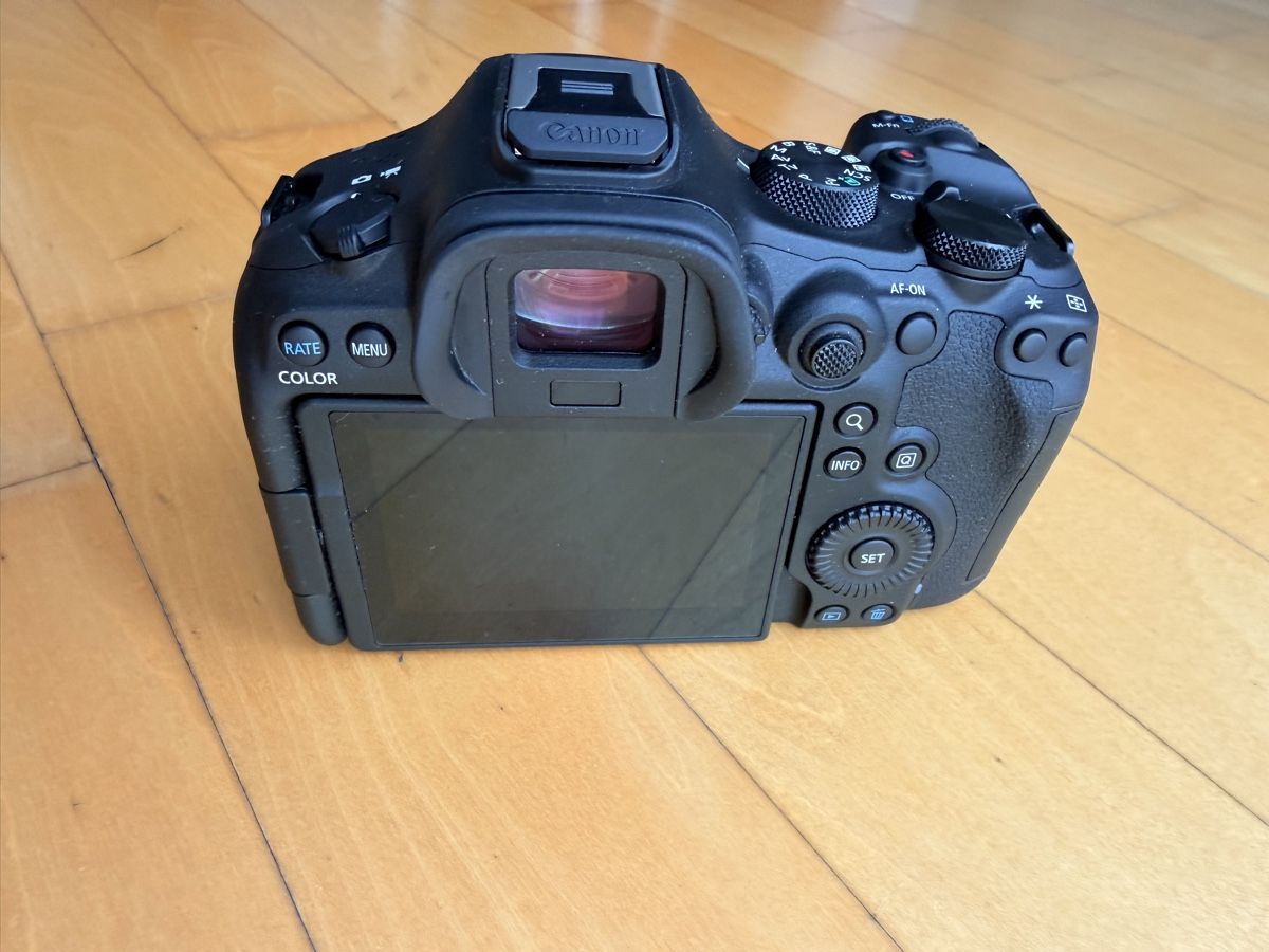 Canon Kamera: Canon EOS R6 Mark III – Gebraucht aus Wallisellen von Covenant 1