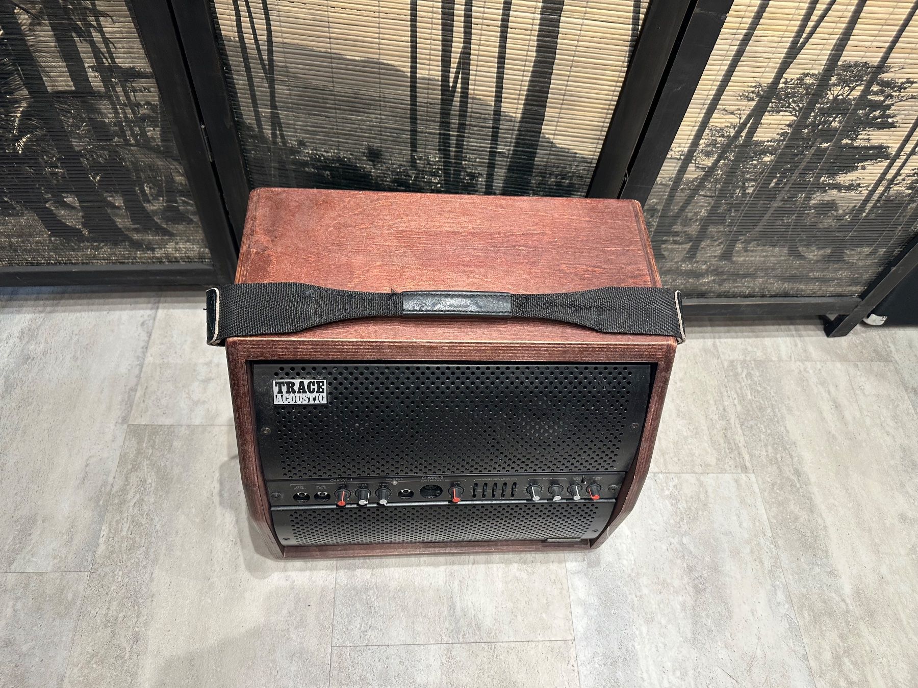 Amplificatori: TRACE ACOUSTIC TA100R,  Acoustic Combo – Usato da Menznau venduto da baholino 1