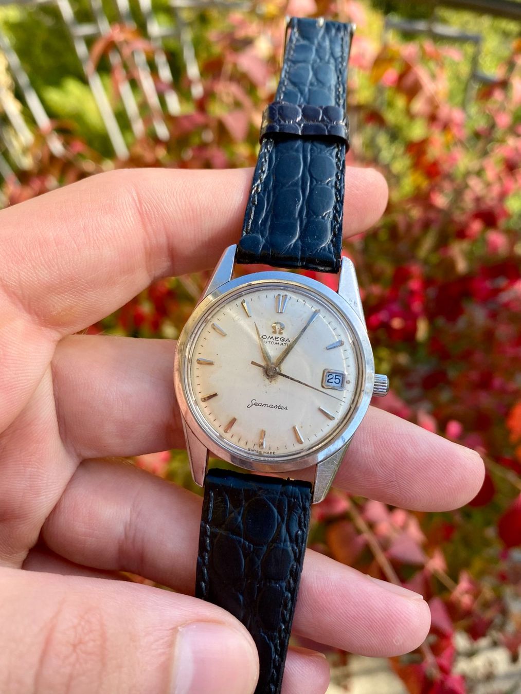 Omega Orologi: Omega Seamaster Date Automatic Kal. 562 – Usato da St. Gallen venduto da Montiswiss 1