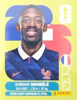 Panini FIFA World Cup FRA 15