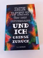 Buch Die Welt ubt den Untergang und ich grinse zuruck