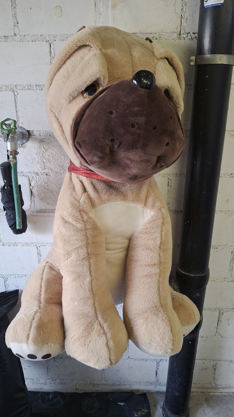 Giocattoli: Plüschhund gross – Nuovo (secondo la descrizione) da Aadorf venduto da esq_xj7z 1