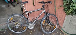 Fahrrad Author Classic, 21 Gang Shimano.