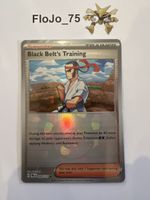 Black Belt's training 99/131 - pokeball