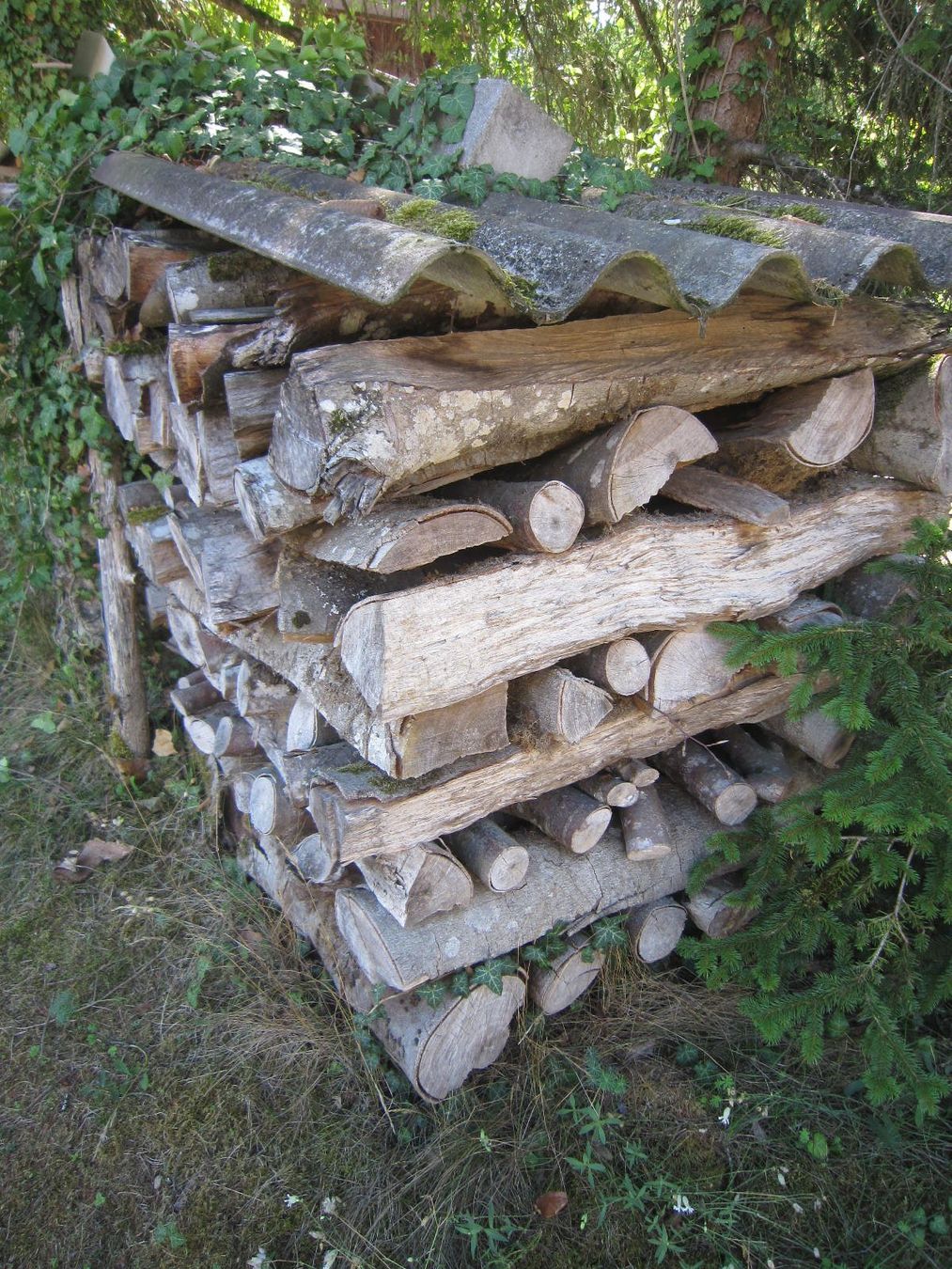 Articoli in legno: Brennholz Buche – Usato da Böttstein venduto da koehlerkafi