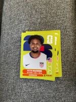 Panini Sticker USA 10, WM 2026