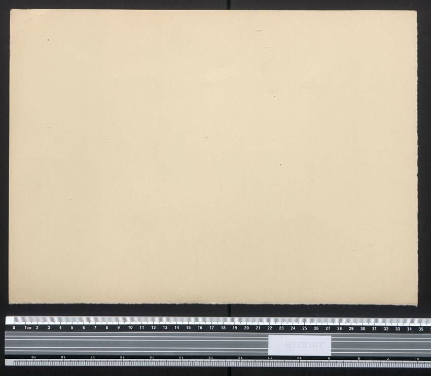 Fotografie & Manifesti: Fotografie Klein-Hohenheim, alte Eiche i – Usato da Berlin venduto da bartko-reher 1
