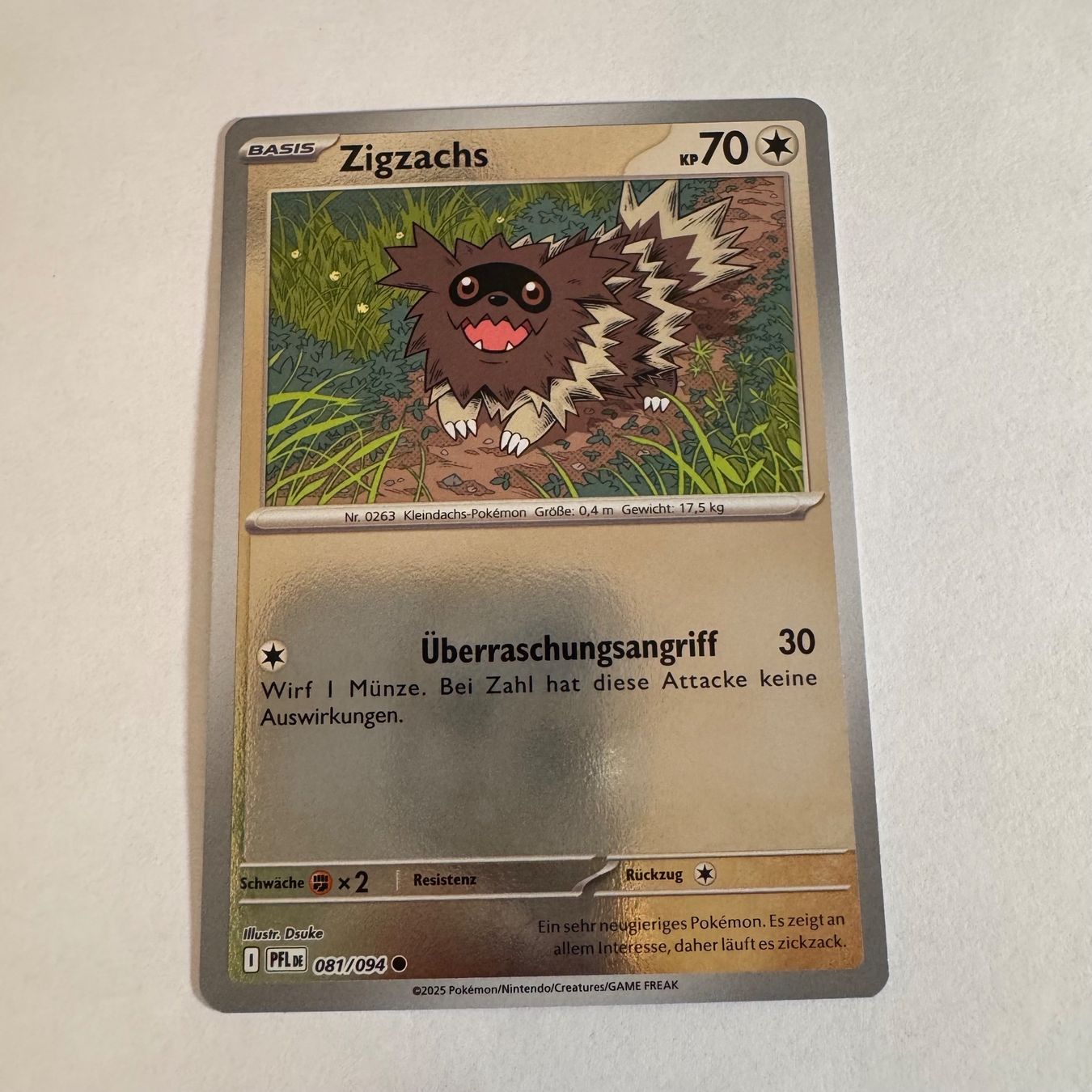 Pokémon Carte collezionabili: Pokémon - PFL 81 - Zigzagoon  - DE – Nuovo (secondo la descrizione) da Staad SG venduto da miaCards