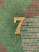 Ord. 1869–1898 Nummer 7 zu Tschako, Gold, Variante 1