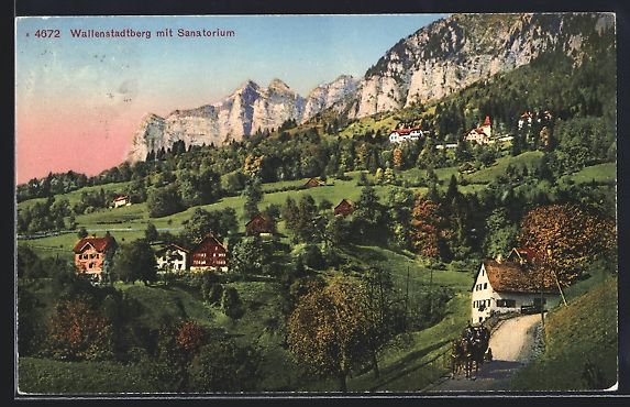Cartes postales: Wallenstadtberg, Panorama mit Sanatorium – D'occasion à Berlin par bartko-reher