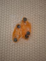 Réflecteurs pour rayons de vélo orange lot de 4 neufs