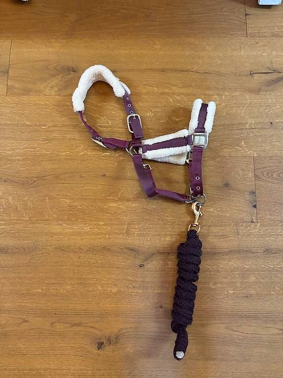Briglie & Cavezze: Halfter Teddy-Fleece Pony mit Strick – Usato da Sarnen venduto da ssc_2tq7