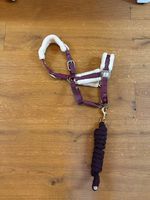 Halfter Teddy-Fleece Pony mit Strick