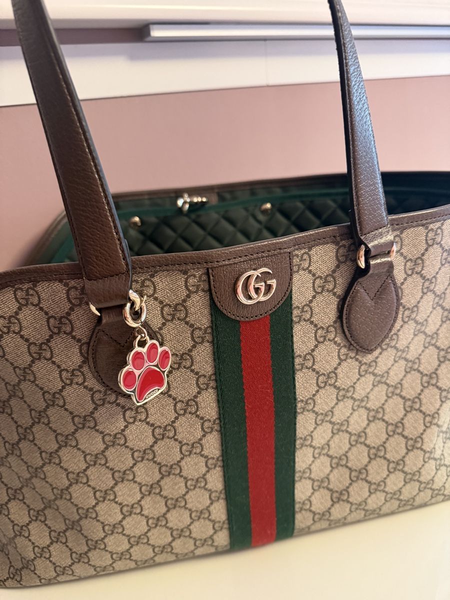 Gucci Borse: Gucci Hundetasche  – Nuovo (secondo la descrizione) da Horgen venduto da Pezi8810 4
