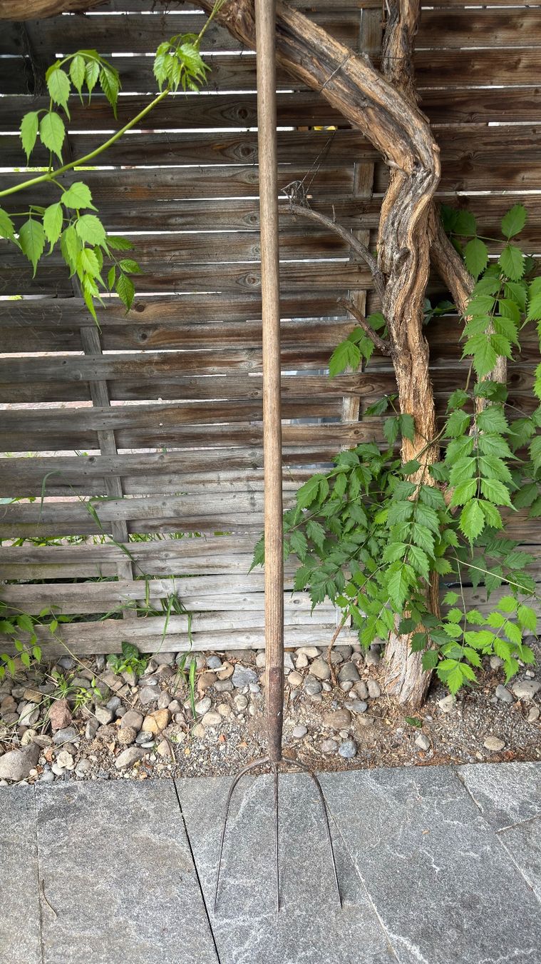 Forchette: Alte Heugabel – Usato da Obfelden venduto da elbusi 1