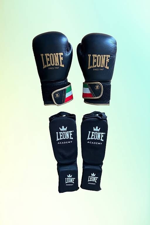 Guanti & manicotti: Leone Boxhandschuhe mit Schienbeinschonern – Usato da Bern venduto da A_Bern