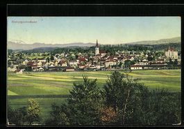 Herzogenbuchsee, Stadtpanorama mit der K
