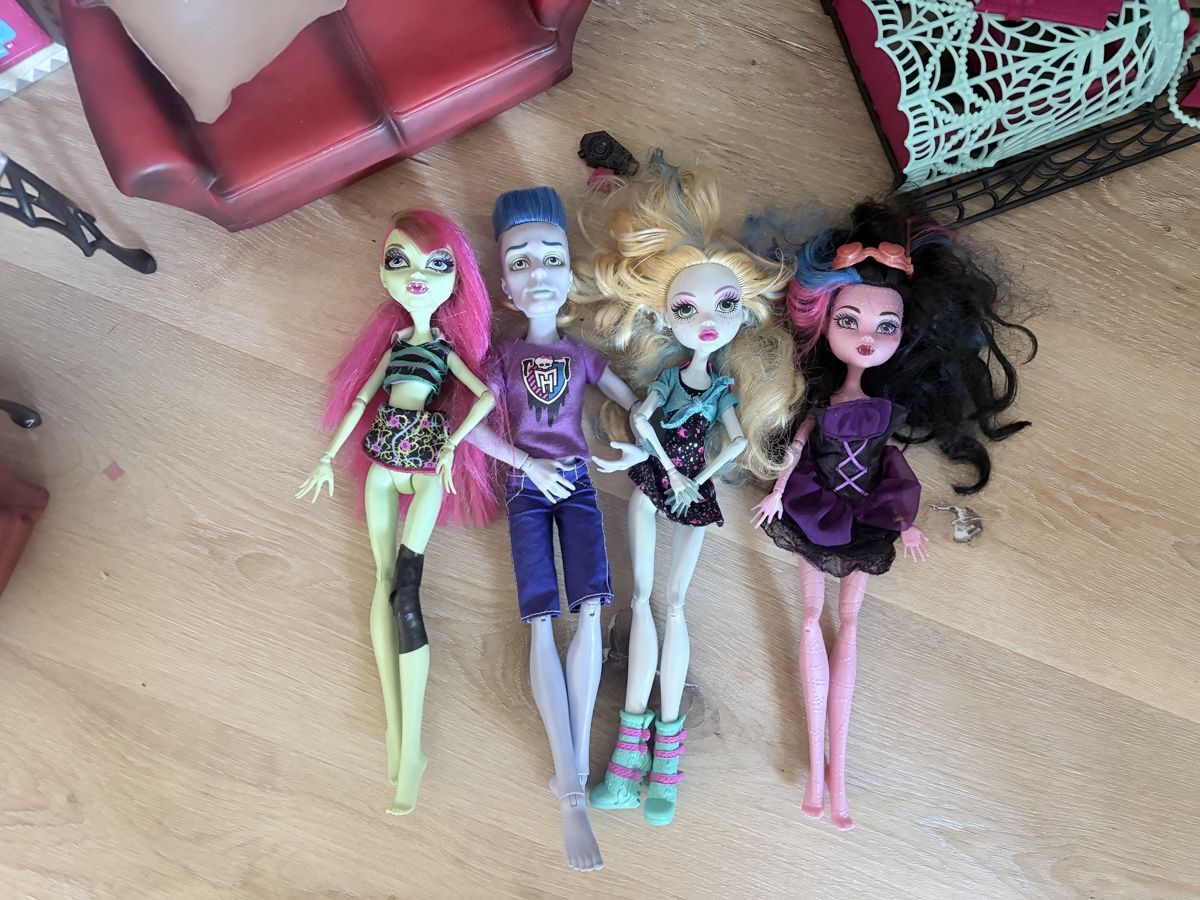 Bambole: Monster High Puppen plus Zubehör  – Usato da Rüti ZH venduto da Butterfly206cc 1