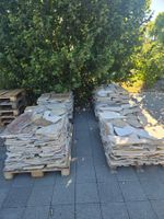 Lot de dalles de pierre naturelle 2-4 cm (environ 50-55 m2)