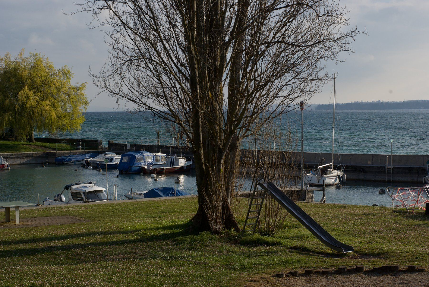 Pentax Obiettivi: Objectif SMC Pentax 1:1.4/50 – Usato da Petit Lancy venduto da gil_hr6v 7