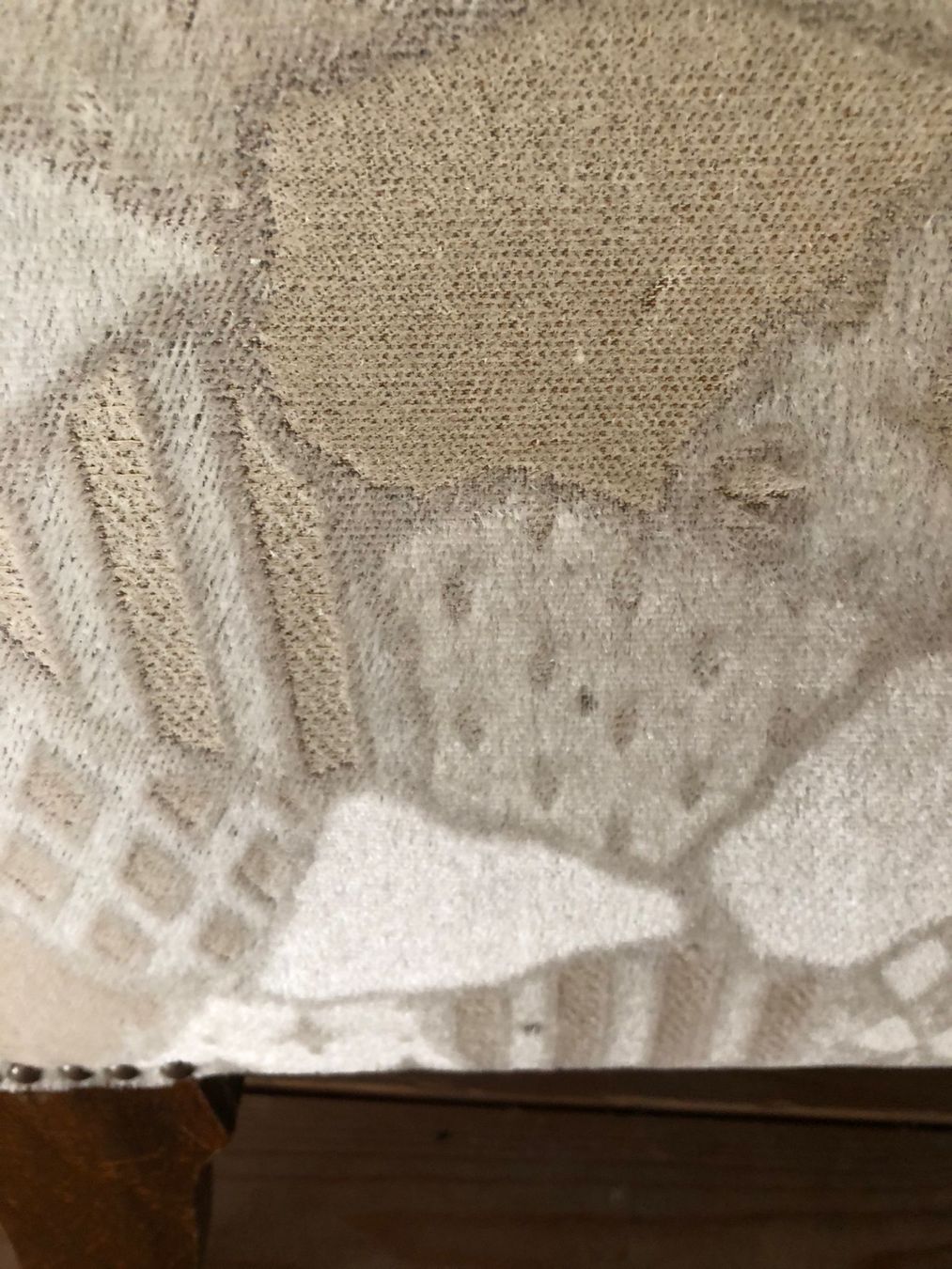 Divani: Hübsches Biedermeier Hirschsofa – Usato da Röschenz venduto da Tashroal 5