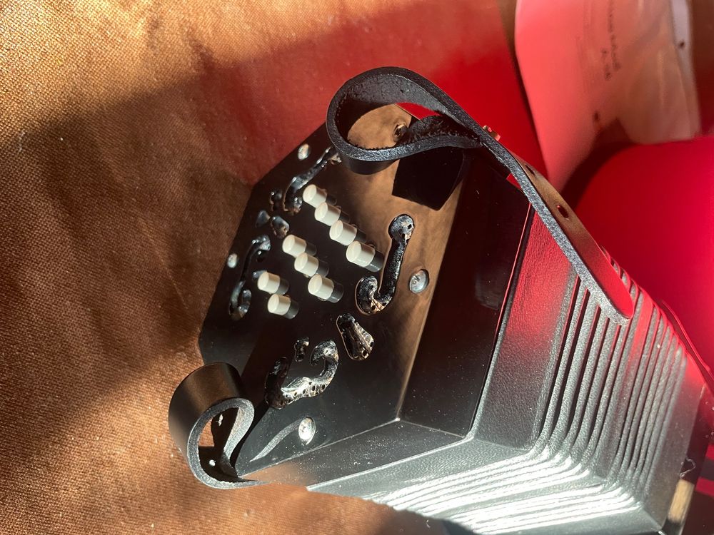 Stagi Concertina A18 Italia akkordeon wie neu Kaufen auf Ricardo