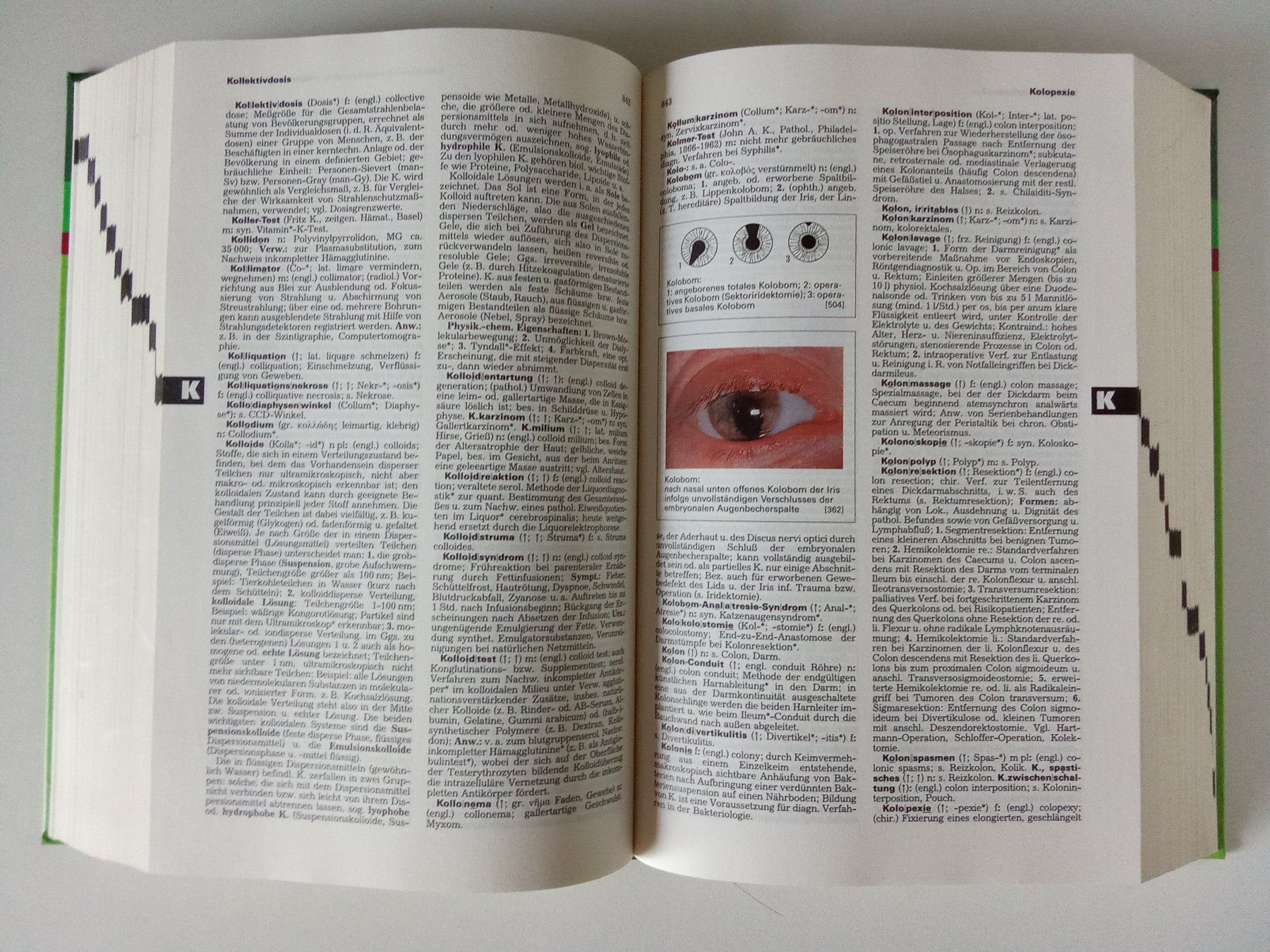 Libri: Klinisches Wörterbuch – Usato da Bilten venduto da Bora3 6
