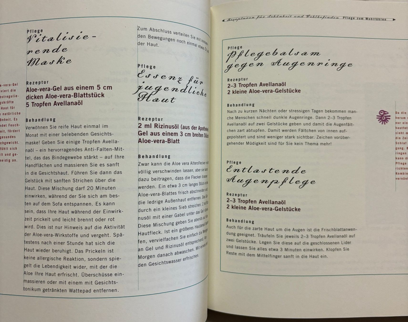 Libri: Heilen und kochen mit Aloe Vera – Nuovo (secondo la descrizione) da Sarnen venduto da Livres 7