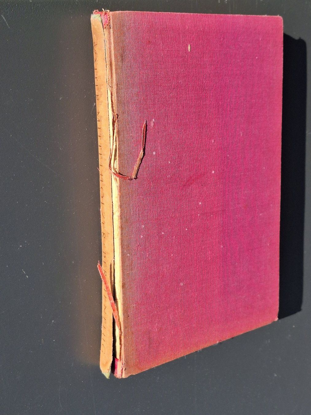 Libri: Antikes Buch "Persienflug" von Walter Mittelholzer, 1926 – Usato da Kriegstetten venduto da Justa 2
