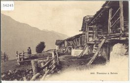 Planajeur s. Salvan