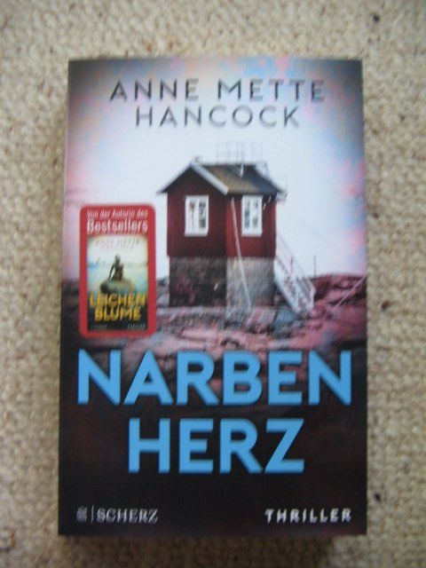 Libri: Narbenherz Anne Mette Hancock – Usato da Reitnau venduto da Bab0