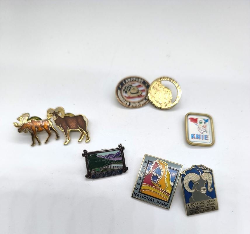 Placchette & Badge: Lot Pins 8 Stück – Usato da Rüti ZH venduto da Restwert_Rueti_ZH 4