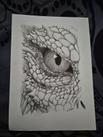 Œil de dragon - dessin au stylo bile