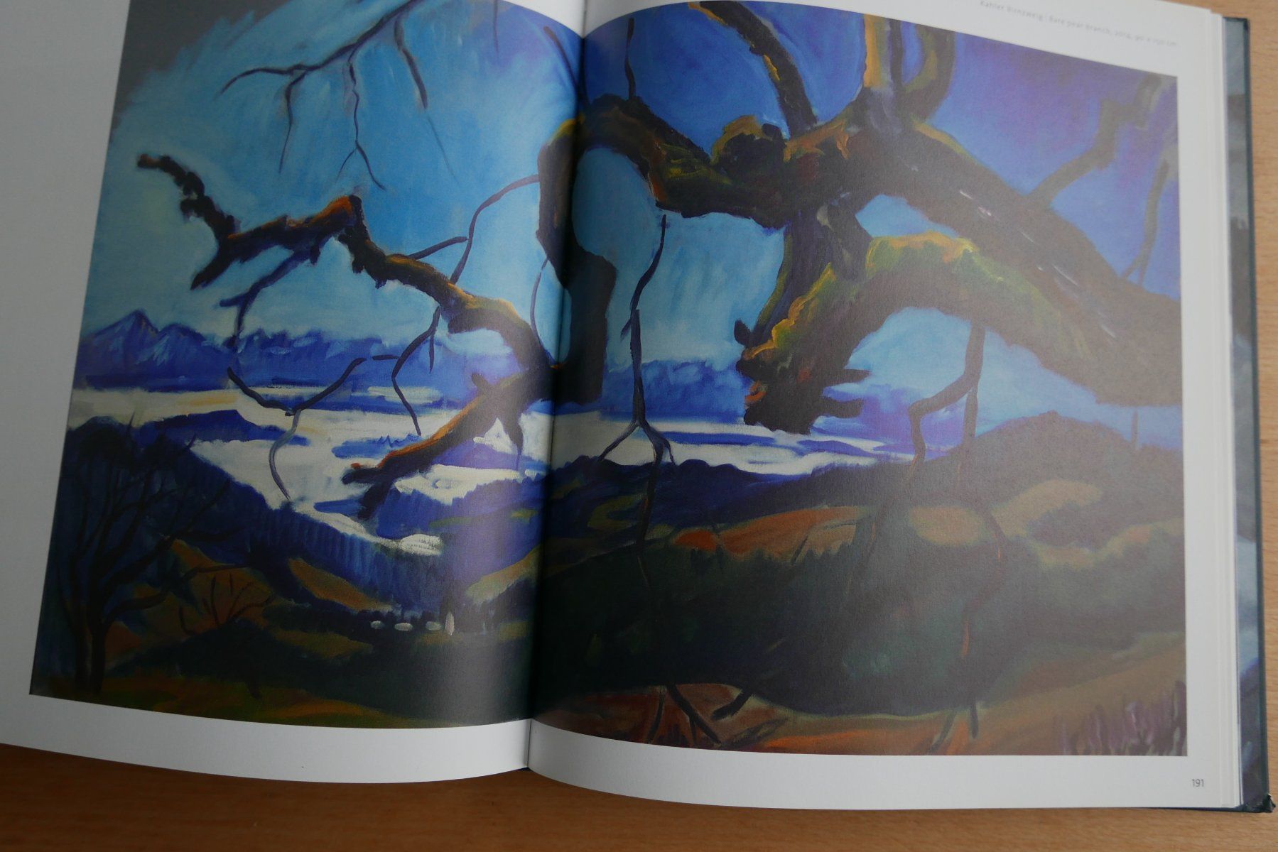 Bücher: Kunstbuch Harald Scheicher Malerei 2010-2014 – Gebraucht aus Rotkreuz von nigal 5