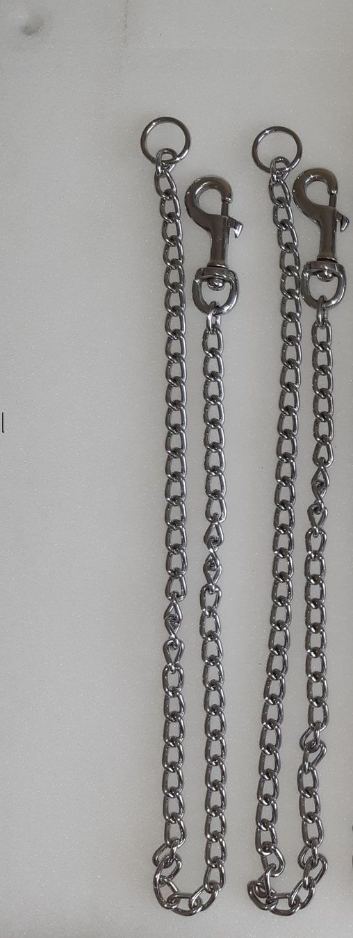 Autres événements d'entreprise et fêtes: Stabile Fixierketten, ca 80cm lang ,2er set – D'occasion à Eschenbach LU par neg_zw6v