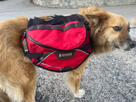 Hunderucksack Ruffwear Palisade Pack, Gr. M