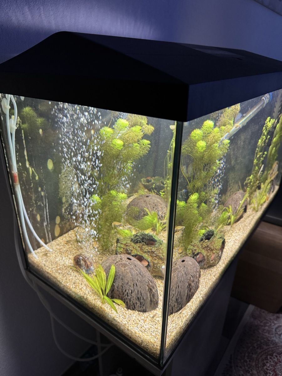Acquari: Aquarium 120l – Nuovo (secondo la descrizione) da St. Margrethen SG venduto da mur_9vrk 1