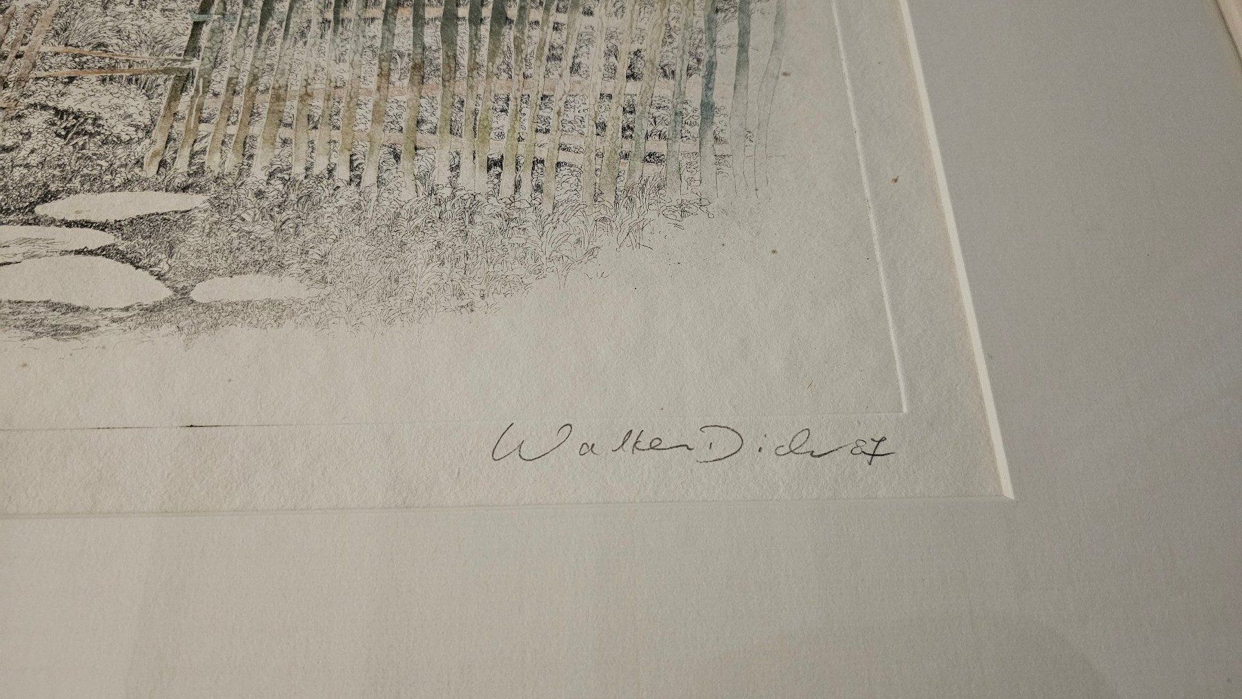Grafica & Litografie: Bild (Lithographie) von Walter Dick – Usato da Bütschwil venduto da Derfnam1 1